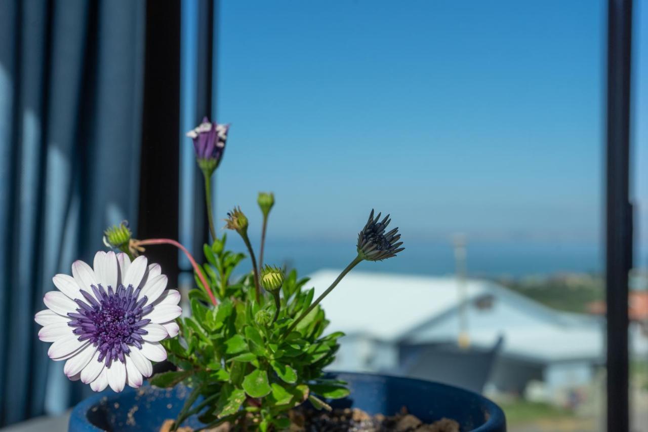 Blue Star Villa Tergniet Kültér fotó
